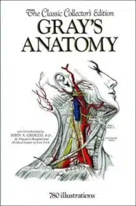Henry Gray - the Father of modern anatomy